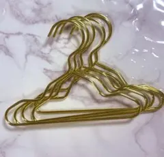 新品未使用♡ 犬服ハンガー　5本セット② ゴールド