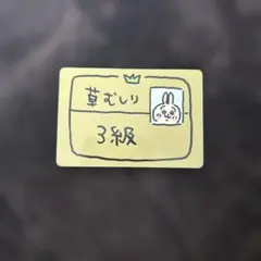 草むしり検定 2枚セット ヴァイスシュヴァルツ ブラウ ちいかわ - メルカリ
