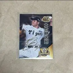 Item thumbnail for item 17410ea4-2fd2-498d-913b-674607edfe1a