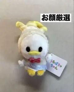 ディズニーストア 立川限定　うるぽちゃちゃん　うどドナルド