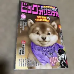 ビックコミックオリジナル　2025 9.20号