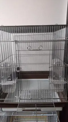 Item thumbnail for item 7c68534d-8a78-4859-84f5-bd775e784baa