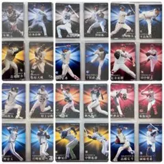 カルビー プロ野球チップス　2023年 スターカード 　コンプ　48種