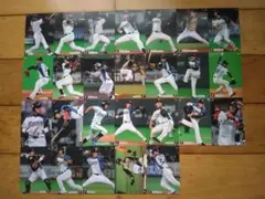 プロ野球チップスカード 北海道日本ハムファイターズ 2013年 2014年