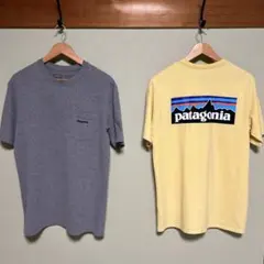 パタゴニア レスポンシビリティー 2枚セット