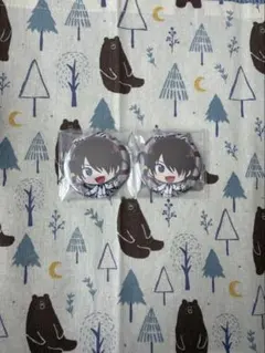 テニプリ 神尾アキラ 缶バッジ