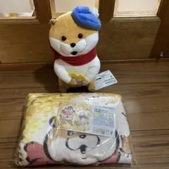 可愛い嘘のカワウソ　ブランケット　ぬいぐるみセット
