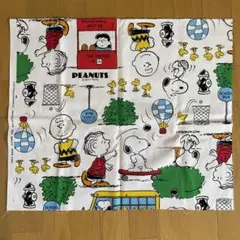 Item thumbnail for item 12b9e1ef-187f-4bb0-ab7c-ce6d1095e510