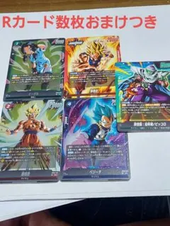 2026年最新】DUAL EVOLUTIONの人気アイテム - メルカリ