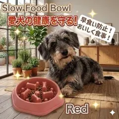 早食い防止 フードボウル 犬 猫 食器 吐き戻し防止 レッドのサムネイル