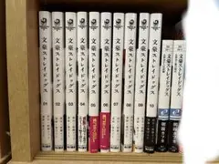 文豪Stray Dogs 1至10集，小說2本