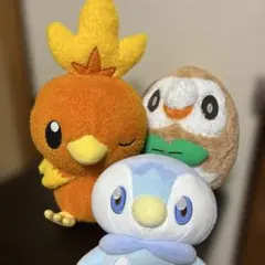 ポケモンセンター モクロー アシマリ ニャビー 等身大 ぬいぐるみ