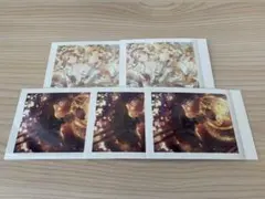 望月 穂波　ぱしゃこれ　プロセカ