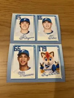 北海道日本ハムファイターズ　ファイターズ選手チェキ風カード2枚セット