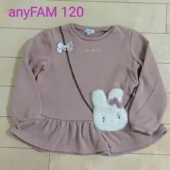 anyFAM トレーナー 120