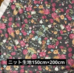 Item thumbnail for item 3ee482c6-1cf5-4155-ae4b-8c9c971e7680