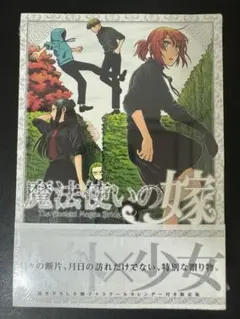 魔法使いの嫁 初回限定版 特装版 セット売り 新品未開封 2026年最新】魔法使いの嫁 16 特装版の人気アイテム - メルカリ