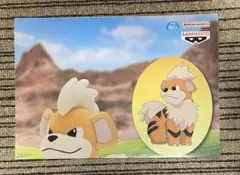 ポケットモンスター もふぐっとぬいぐるみ～ヒトカゲ・ガーディ～　販促ポスターのみ