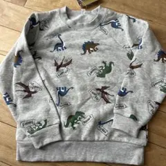 120 裏起毛トレーナー