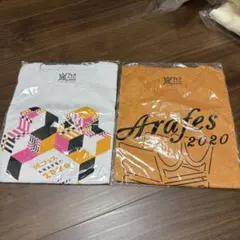 Item thumbnail for item 3436bf5e-ac5c-4c26-8dfd-5210e0ea79f8