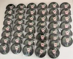 ツイステ セベク カプ缶 寮服 缶バッジ 46個