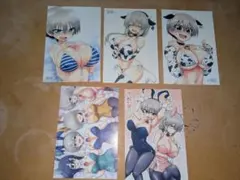 宇崎ちゃんは遊びたい！　ポストカード　5枚