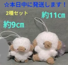 【 じょせまる　マスコット 『 らて　2種セット 』 】