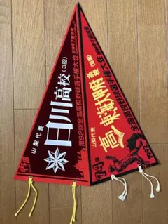 第69回 全国高校野球選手権大会 ペナント 3枚セット - メルカリ