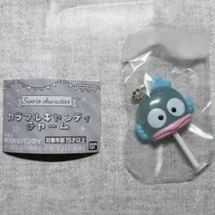 サンリオキャラクターズ カラフルキャンディチャーム ハンギョドン