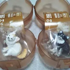 チワワ2点セット　ふんばりーぬ②　ガチャ　カプセルトイ