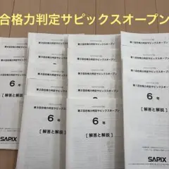 2026年最新】第4回合格力判定サピックスオープンの人気アイテム - メルカリ
