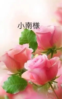 ＊小南様専用ぺージ＊