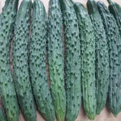 味さんごのサムネイル
