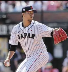 グローブ 大人用