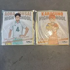 ハイキュー‼︎ ミニ色紙コレクション　セット　日向翔陽　岩泉一