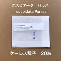 ちっち✳️棚整理中様 リクエスト 3点 まとめ商品