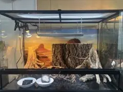 Item thumbnail for item 9a7e3dc1-4dc2-4da0-9c02-ae516148153b