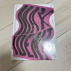 Stray Kids MAXIDENT Go ver. 未開封 アルバム