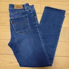 Item thumbnail for item 9646f484-978d-46b6-9297-9aa81e4f8a01