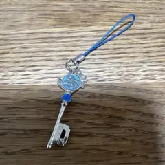 東京ディズニーリゾート　25周年　キーモチーフストラップ　ドナルド