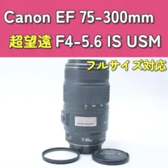 Canon EF 75-300mm IS USM❤フルサイズでも使える！❤超望遠 - メルカリ