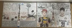 ハイキュー!! コミックかけ替えカバー 2点 ミニクリアファイル