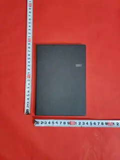 Item thumbnail for item c10eb7b7-717c-4769-9afe-53216575c5b0