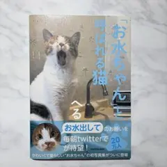 「お水ちゃん」と呼ばれる猫 写真集 へる