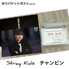 straykids スキズ socialpath random チャンビン