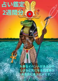 占い鑑定 ・鑑定書付き