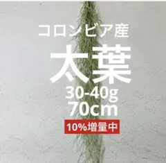 ひろみん様 リクエスト 2点 まとめ商品