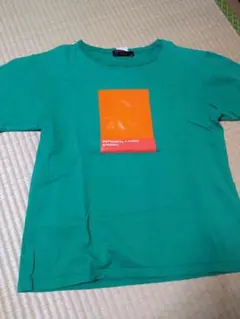 Item thumbnail for item 84c2c949-1f52-4a84-9933-768fdb085b99