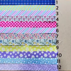 Item thumbnail for item 3584bda8-9dc7-4bd9-ae0a-aeeb6c69f4f0