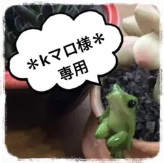 kマロ様 リクエスト 8点 まとめ商品